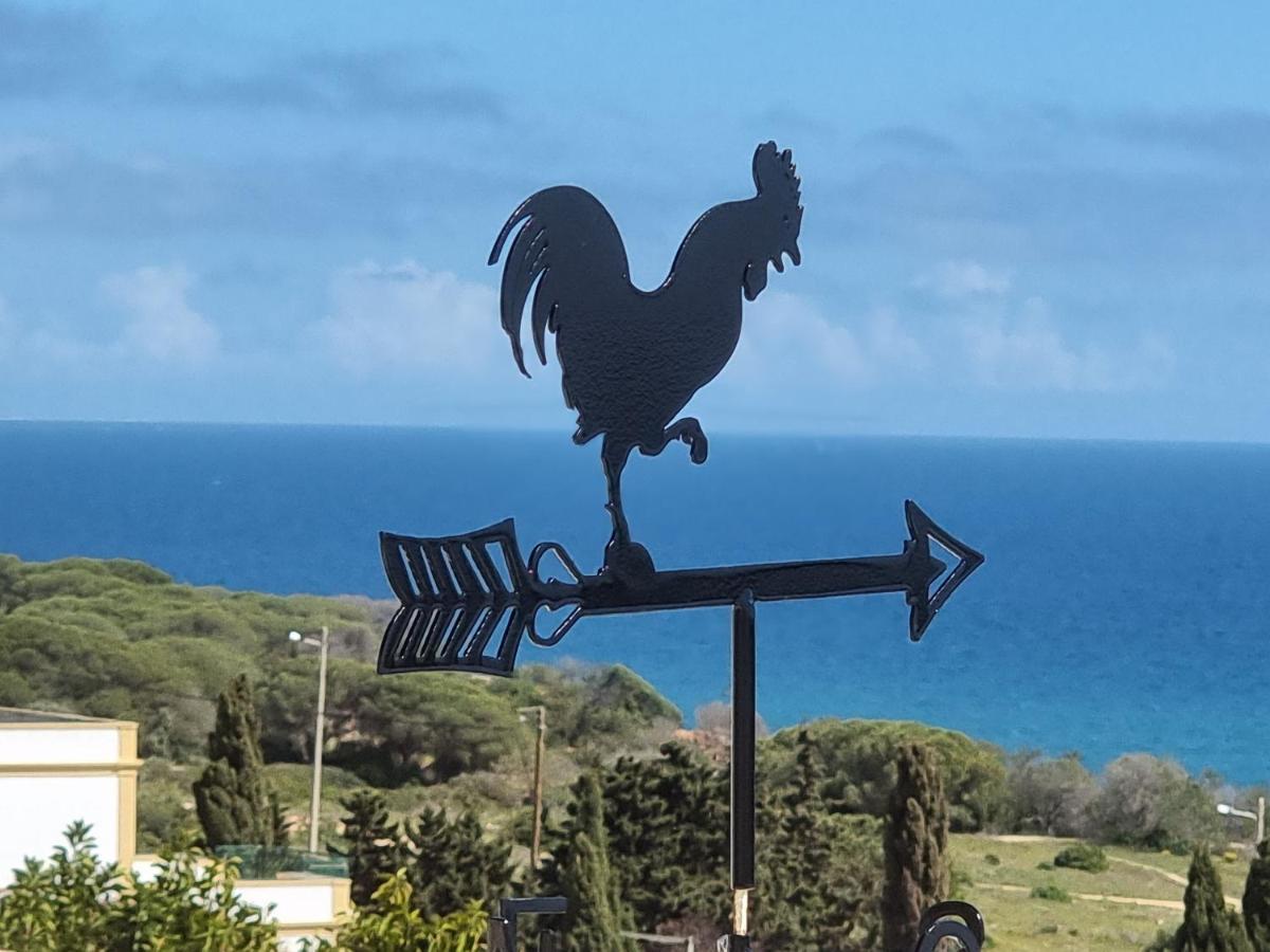 Villa Oceano Albufeira Zewnętrze zdjęcie